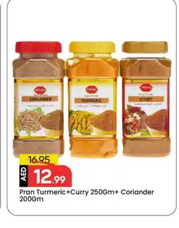 Mark & Save PRAN Spices / Masala offer