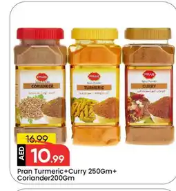 Mark & Save PRAN Spices / Masala offer