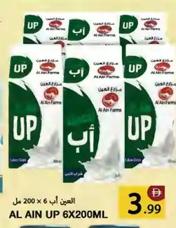 Rawabi Market AL AIN Laban offer