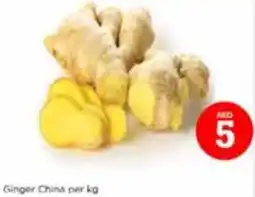 Nesto Ginger china per kg offer