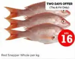 Nesto Red snapper whole offer