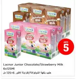 Last Chance LACNOR Flavoured Milk offer