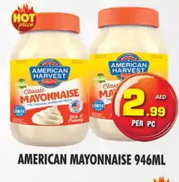 Night to Night Hypermarket AMERICAN HARVEST Mayonnaise offer