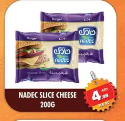Night to Night Hypermarket NADEC Slice Cheese offer