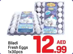 Day To Day Biladi Fresh Eggs offer