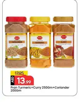 Mark & Save PRAN Spices / Masala offer