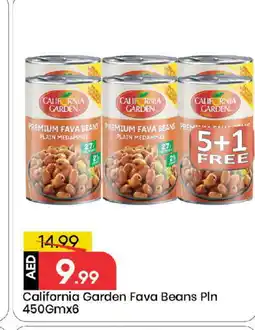 Mark & Save CALIFORNIA GARDEN Fava Beans offer