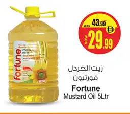 Ansar Gallery FORTUNE Mustard Oil offer