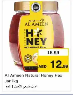 Nesto AL AMEEN Honey offer