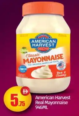Bigmart AMERICAN HARVEST Mayonnaise offer