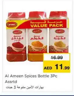 Nesto AL AMEEN Spices / Masala offer