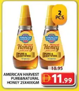 Grand Hyper Market AMERICAN HARVEST Honey offer