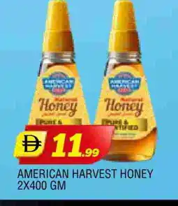 Al Madina AMERICAN HARVEST Honey offer