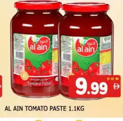 Al Madina AL AIN Tomato Paste offer