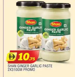 Al Madina SHAN Garlic Paste offer
