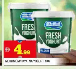 Al Madina HAYATNA Yoghurt offer