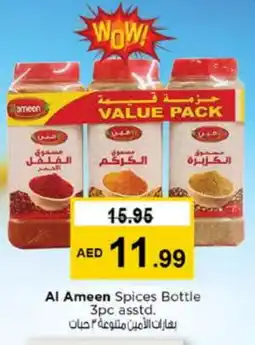 Nesto AL AMEEN Spices / Masala offer