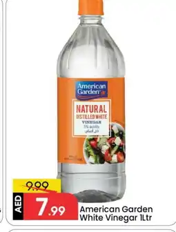 Mark & Save AMERICAN GARDEN Vinegar offer