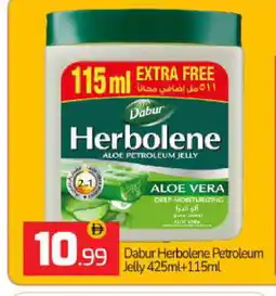 Bigmart DABUR HERBOLENE Petroleum Jelly offer