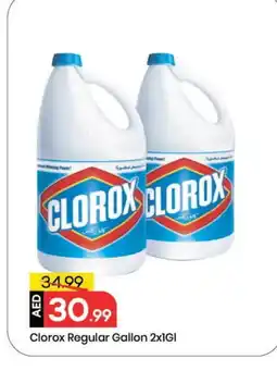 Mark & Save CLOROX Bleach offer