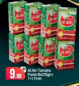 Bigmart AL AIN Tomato Paste offer