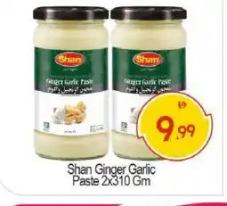 Bigmart SHAN Garlic Paste offer