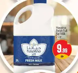 Bigmart HAYATNA Full Cream Milk offer