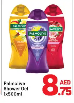 Day To Day PALMOLIVE Shower Gel offer