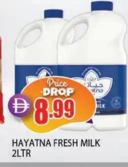 Al Madina HAYATNA Fresh Milk offer