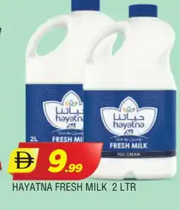 Al Madina HAYATNA Full Cream Milk offer