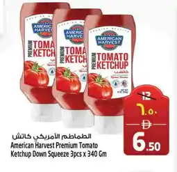 Safari Hypermarket AMERICAN HARVEST Tomato Ketchup offer
