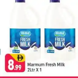 Shaklan MARMUM Fresh Milk offer