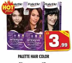 Night to Night Hypermarket PALETTE Hair Colour offer
