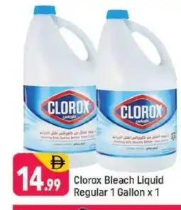 Shaklan CLOROX Bleach offer