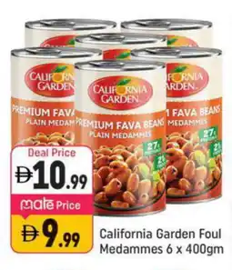 Shaklan CALIFORNIA Fava Beans offer