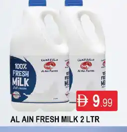 Al Madina AL AIN Fresh Milk offer