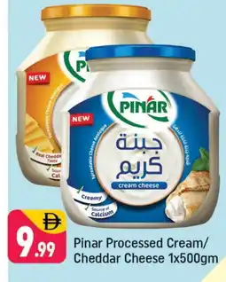 Shaklan PINAR Analogue Cream offer
