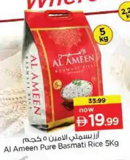 Nesto AL AMEEN Basmati / Biryani Rice offer
