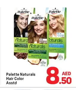 Day To Day PALETTE Hair Colour offer