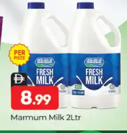 Al Madina MARMUM Fresh Milk offer