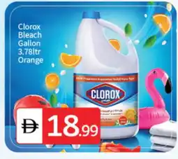 Talal Market CLOROX Bleach offer