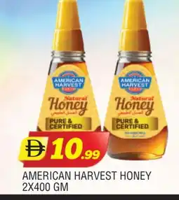 Al Madina AMERICAN HARVEST Honey offer