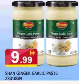 Al Madina SHAN Garlic Paste offer