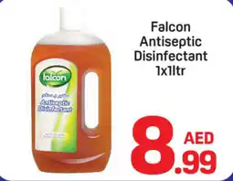 Day To Day Falcon Antiseptic Disinfectant offer