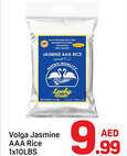 Day To Day Volga Jasmine AAA Rice offer