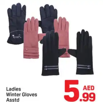 Day To Day Ladies Winter Gloves offer