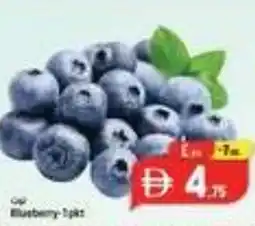 Safari Hypermarket Blueberry offer