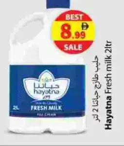 Zain Hypermarket HAYATNA Fresh Milk offer