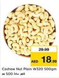 Nesto Cashew Nut Plain W320 offer