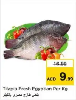 Nesto Tilapia Fresh Egyptian offer